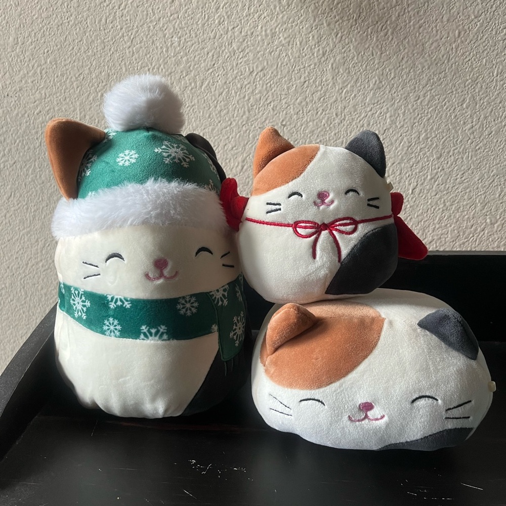Cam squishmallow bundle !!!